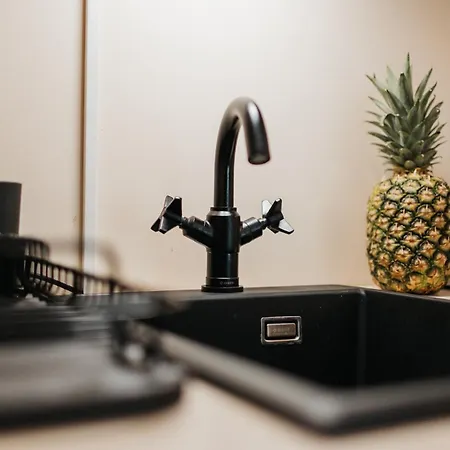 Golden Merchant Main Square Apartment Krakow