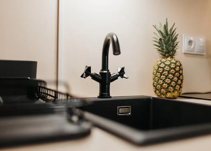 Golden Merchant Main Square 아파트 크라쿠프