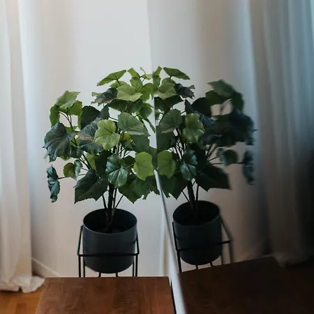 Golden Merchant Main Square * Krakau